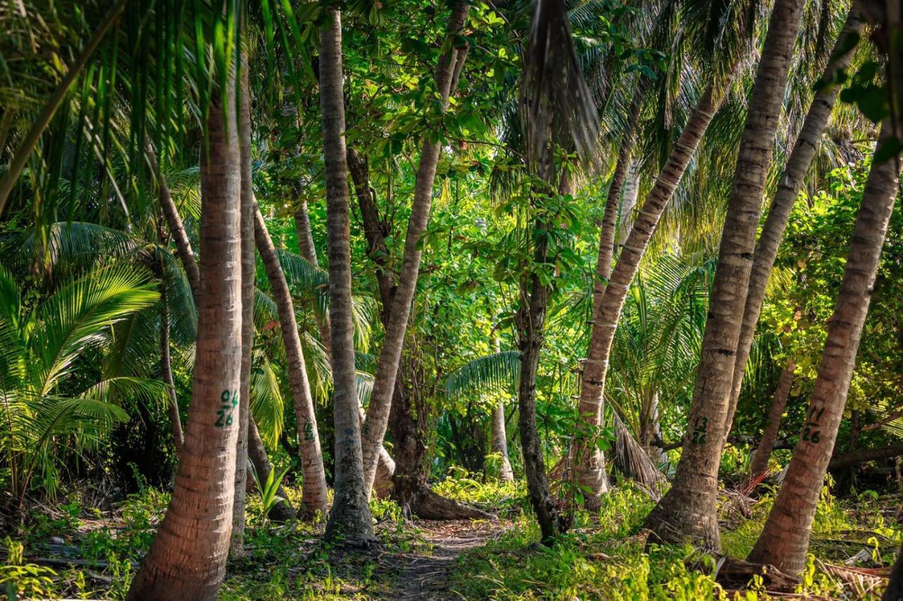 Fehendhoo Stay Exteriör bild