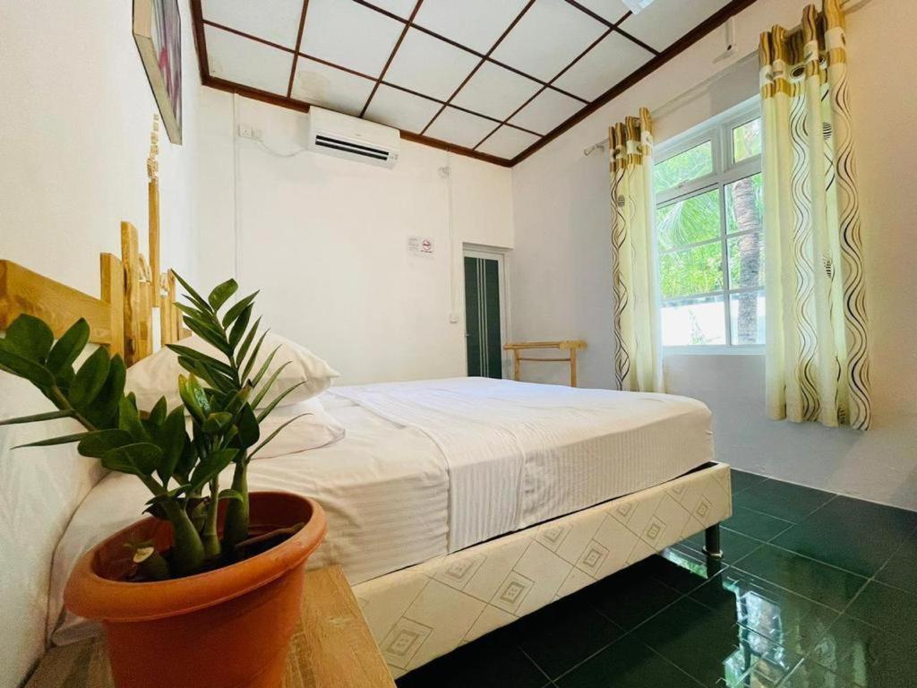 Fehendhoo Stay Exteriör bild